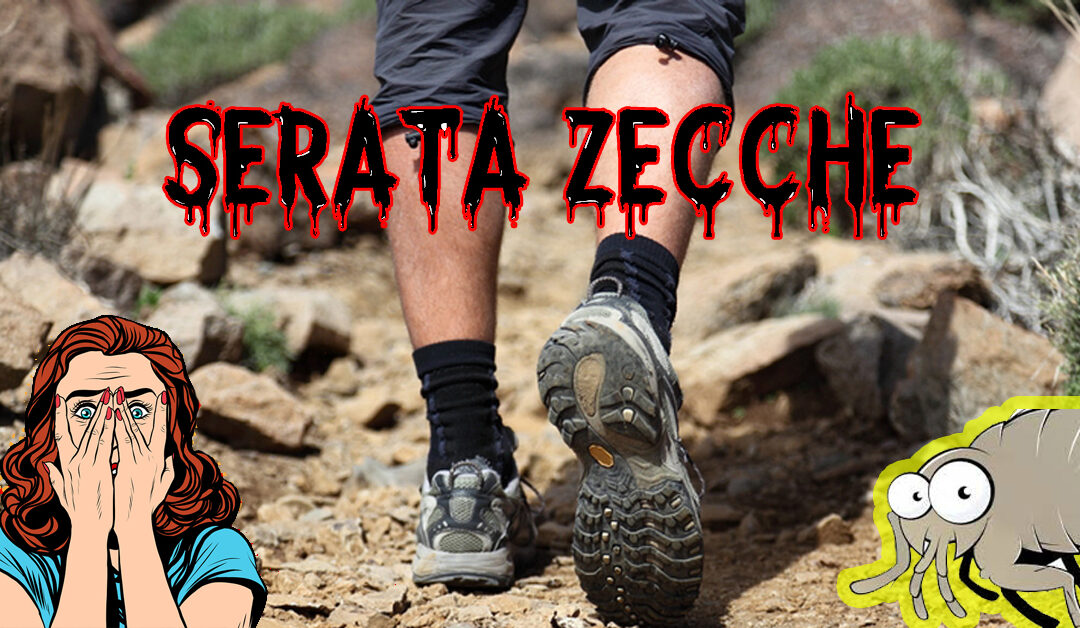 SERATA ZECCHE 19 GIUGNO 2018